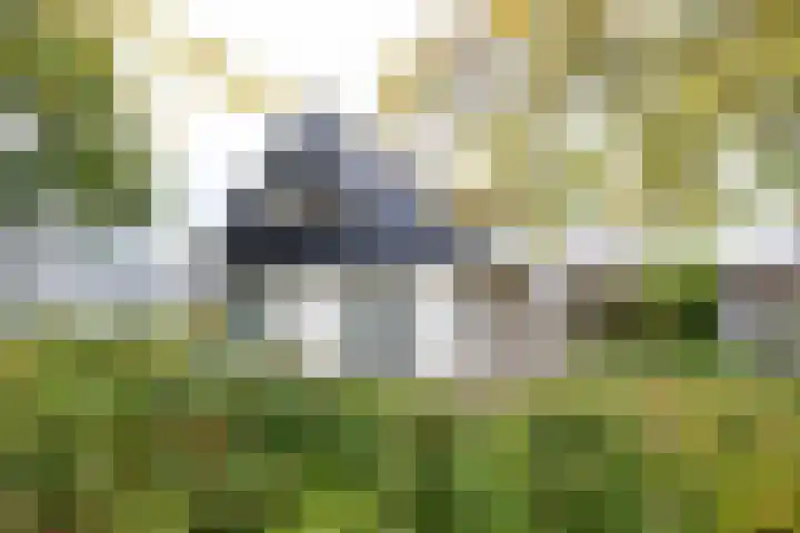 Obalaan 2 Oostvoorne thumbnail 9