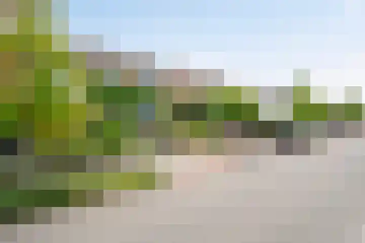 Obbichterstraat 30 Urmond thumbnail 5
