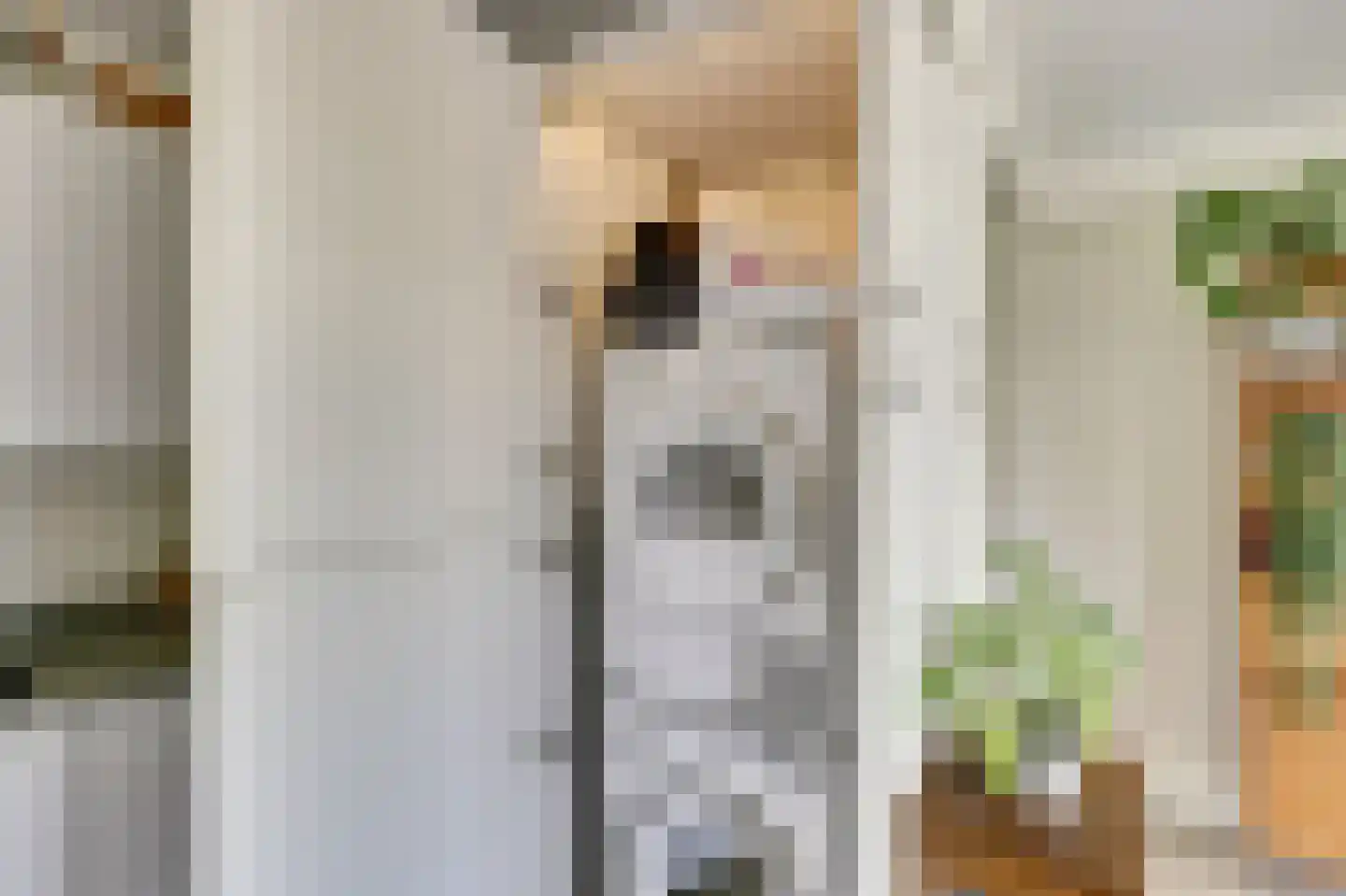 Obbinklaan 14 Utrecht thumbnail 16