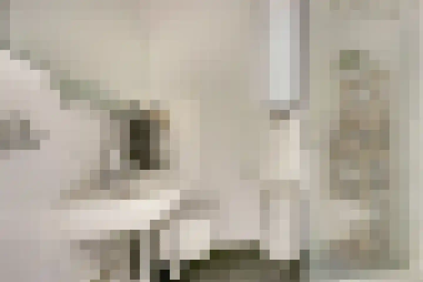 Obbinklaan 14 Utrecht thumbnail 24