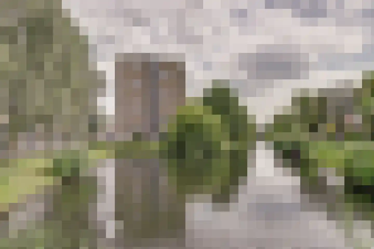 Obbinklaan 14 Utrecht thumbnail 28