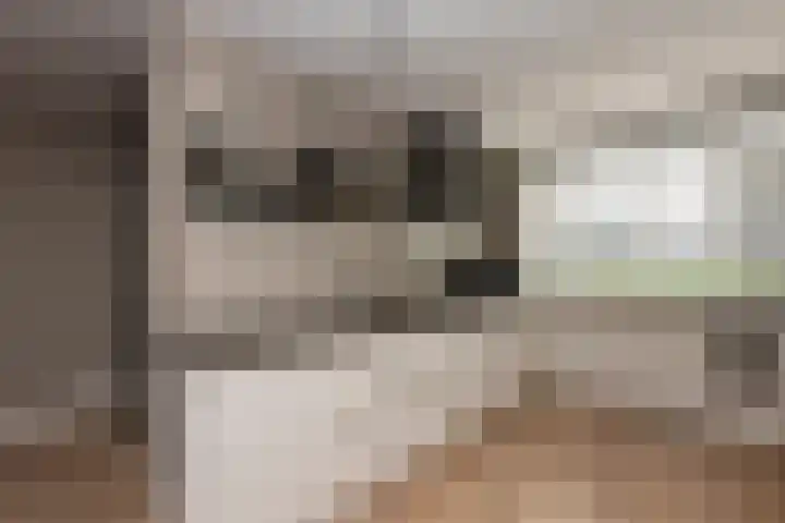 Obdamstraat 8 Tilburg thumbnail 10