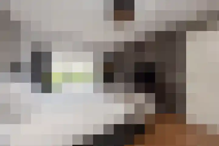 Obdamstraat 8 Tilburg thumbnail 18