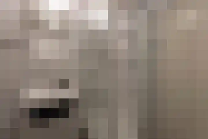 Obdamstraat 8 Tilburg thumbnail 20