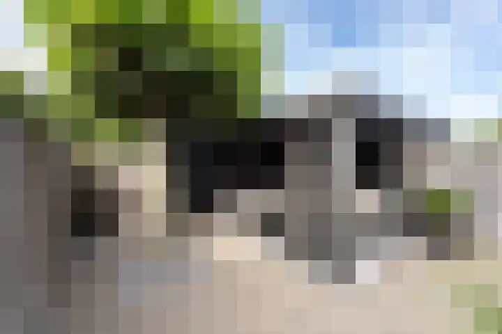 Obdamstraat 8 Tilburg thumbnail 31