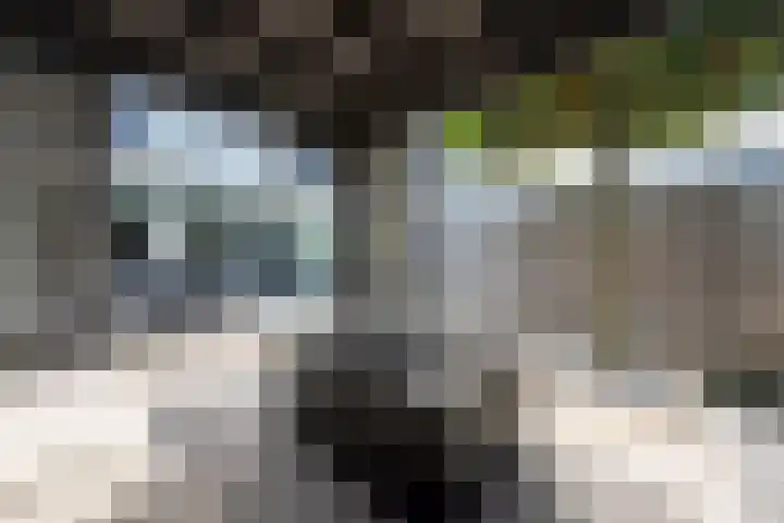 Obdamstraat 8 Tilburg thumbnail 33
