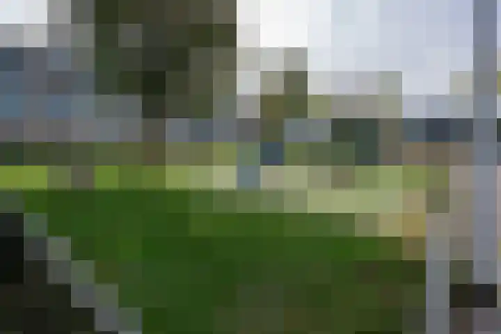 Obdamstraat 8 Tilburg thumbnail 36