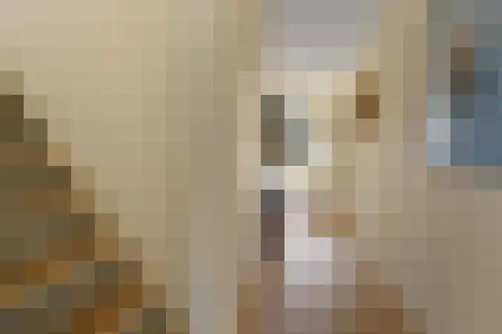 Obe Postmaplein 14 Franeker thumbnail 15