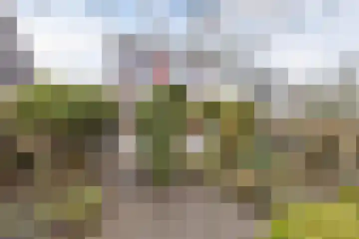 Obe Postmaplein 14 Franeker thumbnail 28