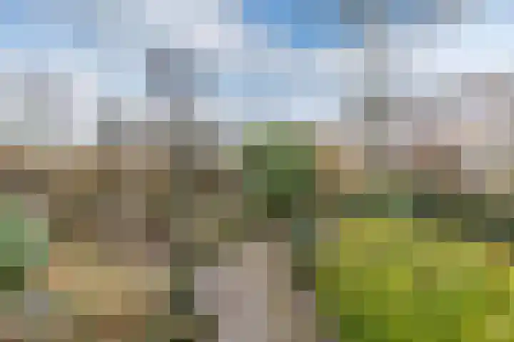 Obe Postmaplein 14 Franeker thumbnail 29