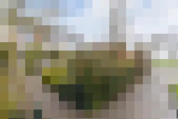 Obe Postmaplein 14 Franeker thumbnail 30