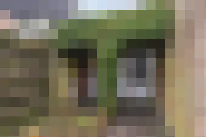 Obe Postmaplein 14 Franeker thumbnail 32