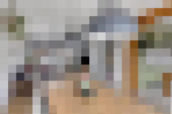 Obe Postmaplein 14 Franeker thumbnail 39