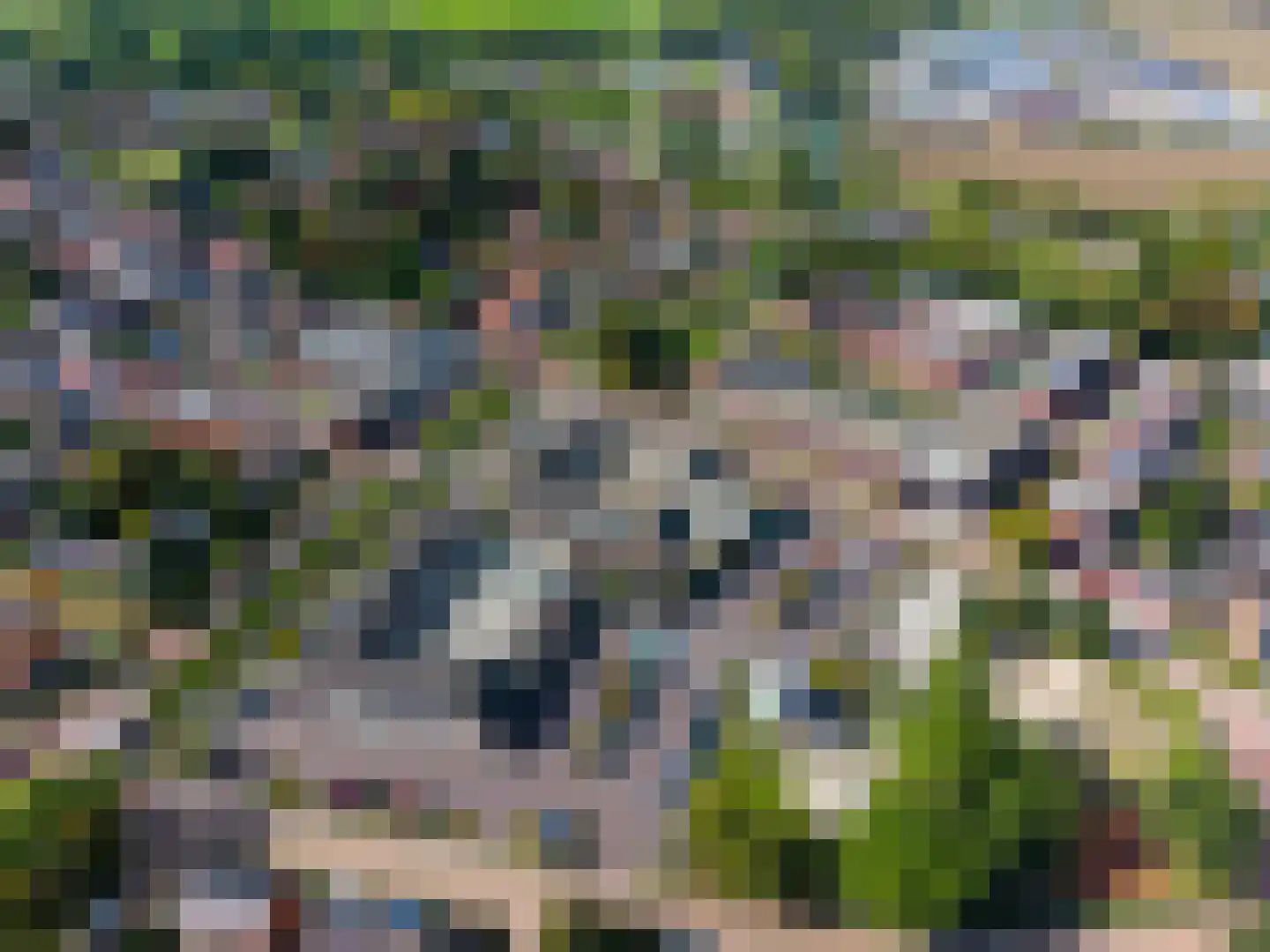 Obergon 12 Winsum thumbnail 5