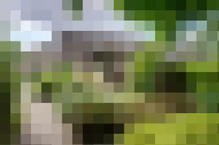 Oberon 21 Hoogezand thumbnail 6