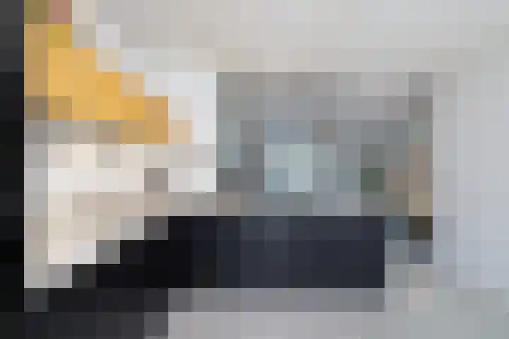 Oberon 4 's-Hertogenbosch thumbnail 13