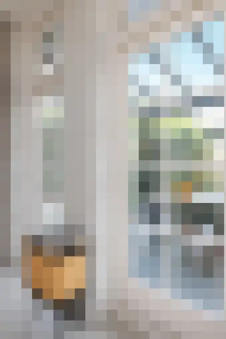 Oberon 4 's-Hertogenbosch thumbnail 19