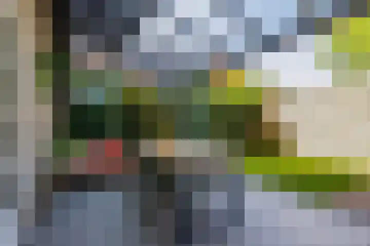 Oberon 4 's-Hertogenbosch thumbnail 21