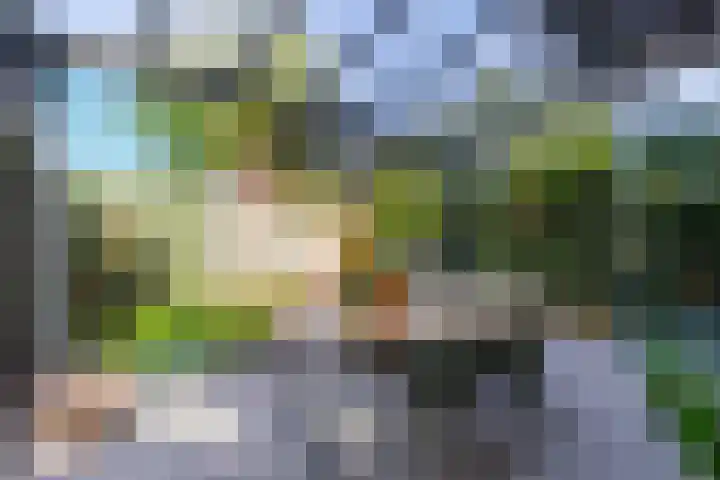 Oberon 4 's-Hertogenbosch thumbnail 23