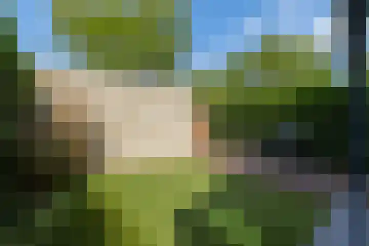 Oberon 4 's-Hertogenbosch thumbnail 25