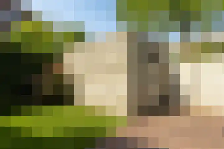 Oberon 4 's-Hertogenbosch thumbnail 26