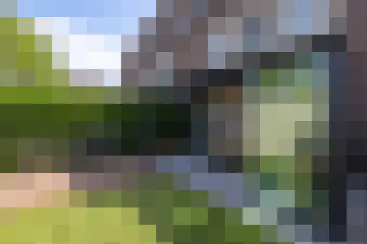 Oberon 4 's-Hertogenbosch thumbnail 28