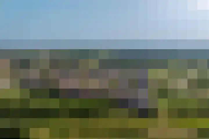 Oberon 4 's-Hertogenbosch thumbnail 54