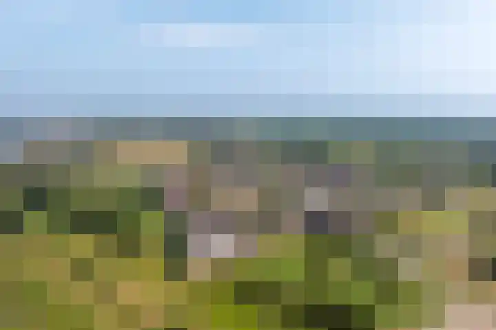 Oberon 4 's-Hertogenbosch thumbnail 55