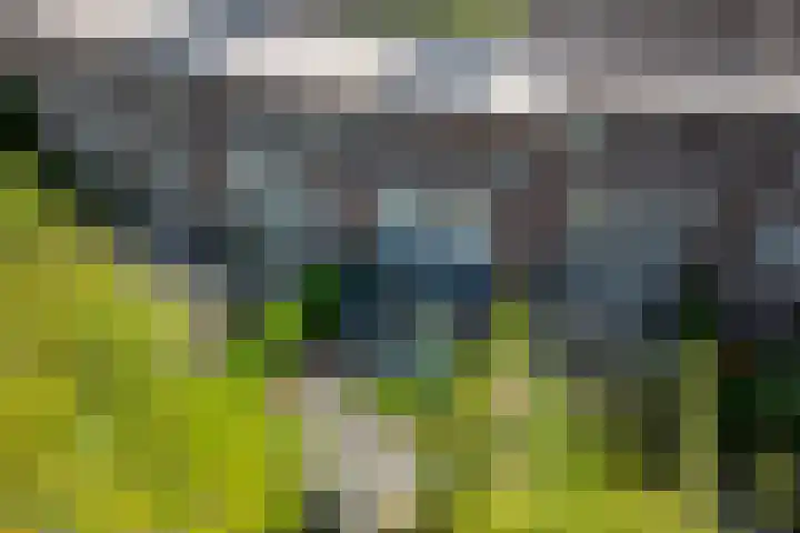 Oberon 4 's-Hertogenbosch thumbnail 59