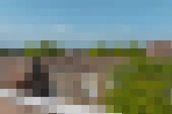 Oberon 4 's-Hertogenbosch thumbnail 61