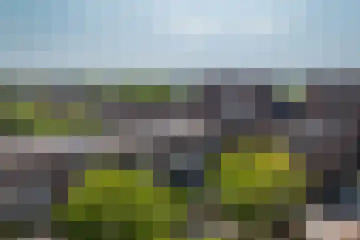 Oberon 4 's-Hertogenbosch thumbnail 64