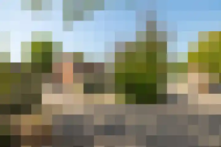 Oberon 4 's-Hertogenbosch thumbnail 67