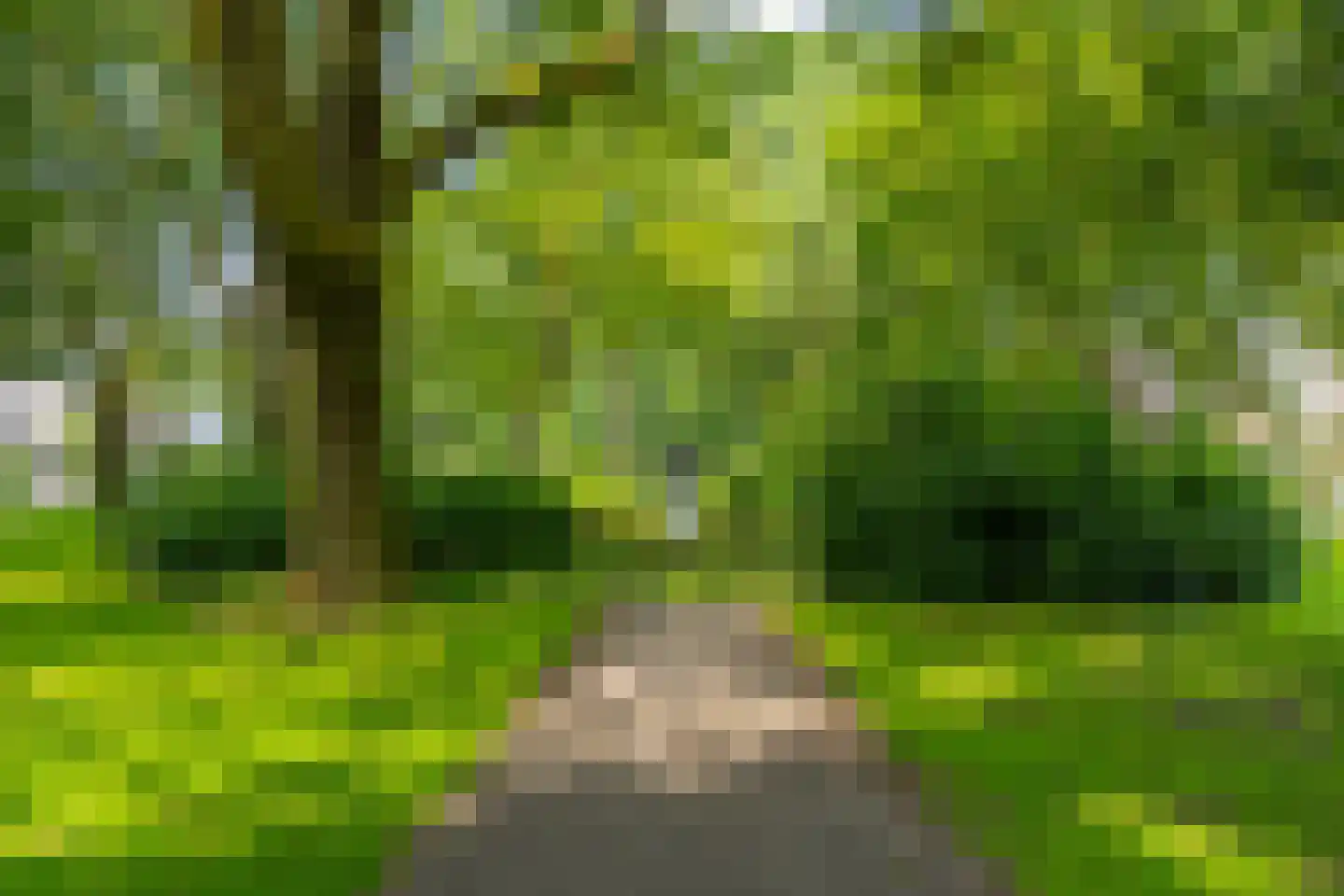 Oberondreef 10 Utrecht thumbnail 39