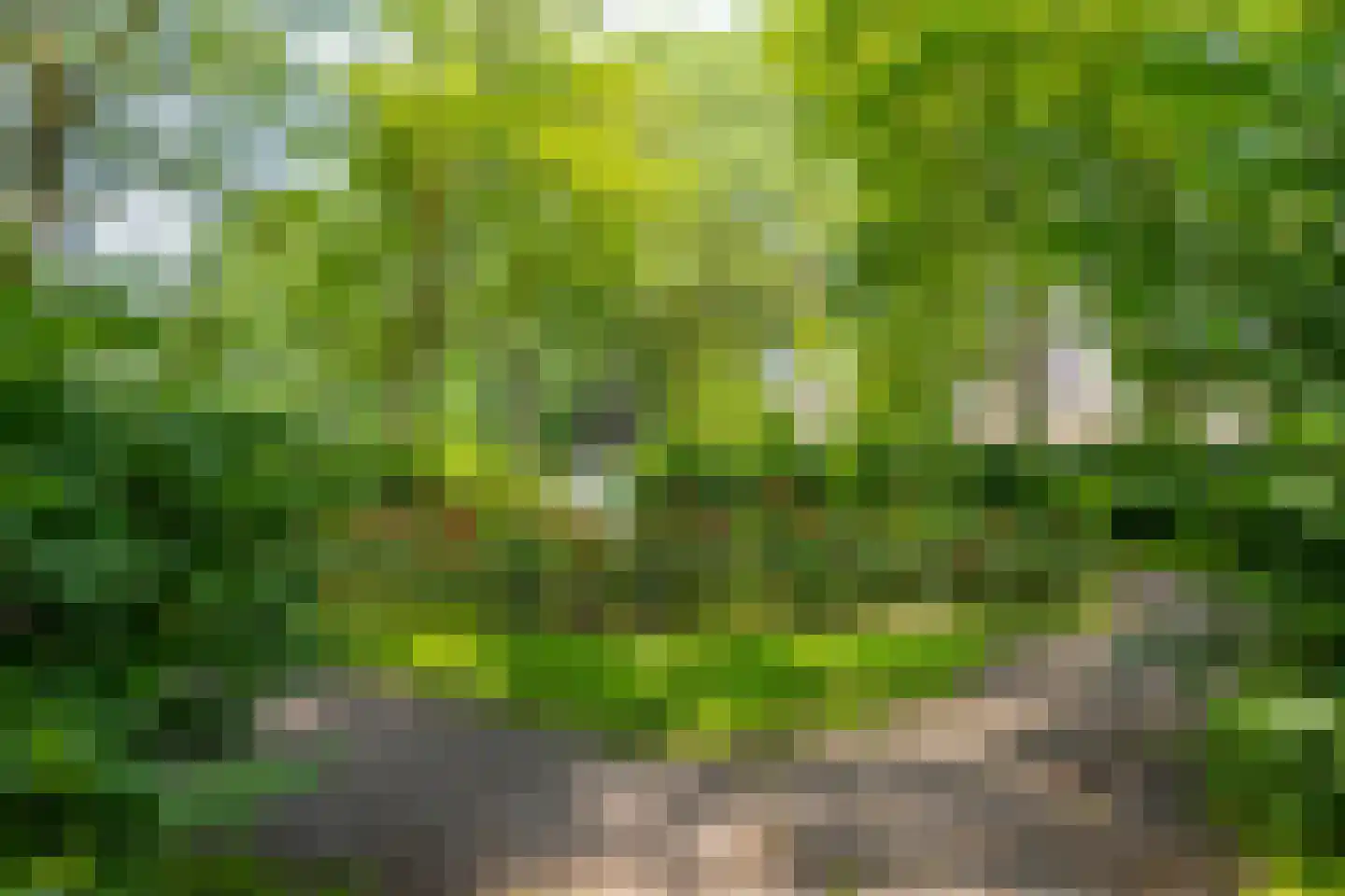 Oberondreef 10 Utrecht thumbnail 40