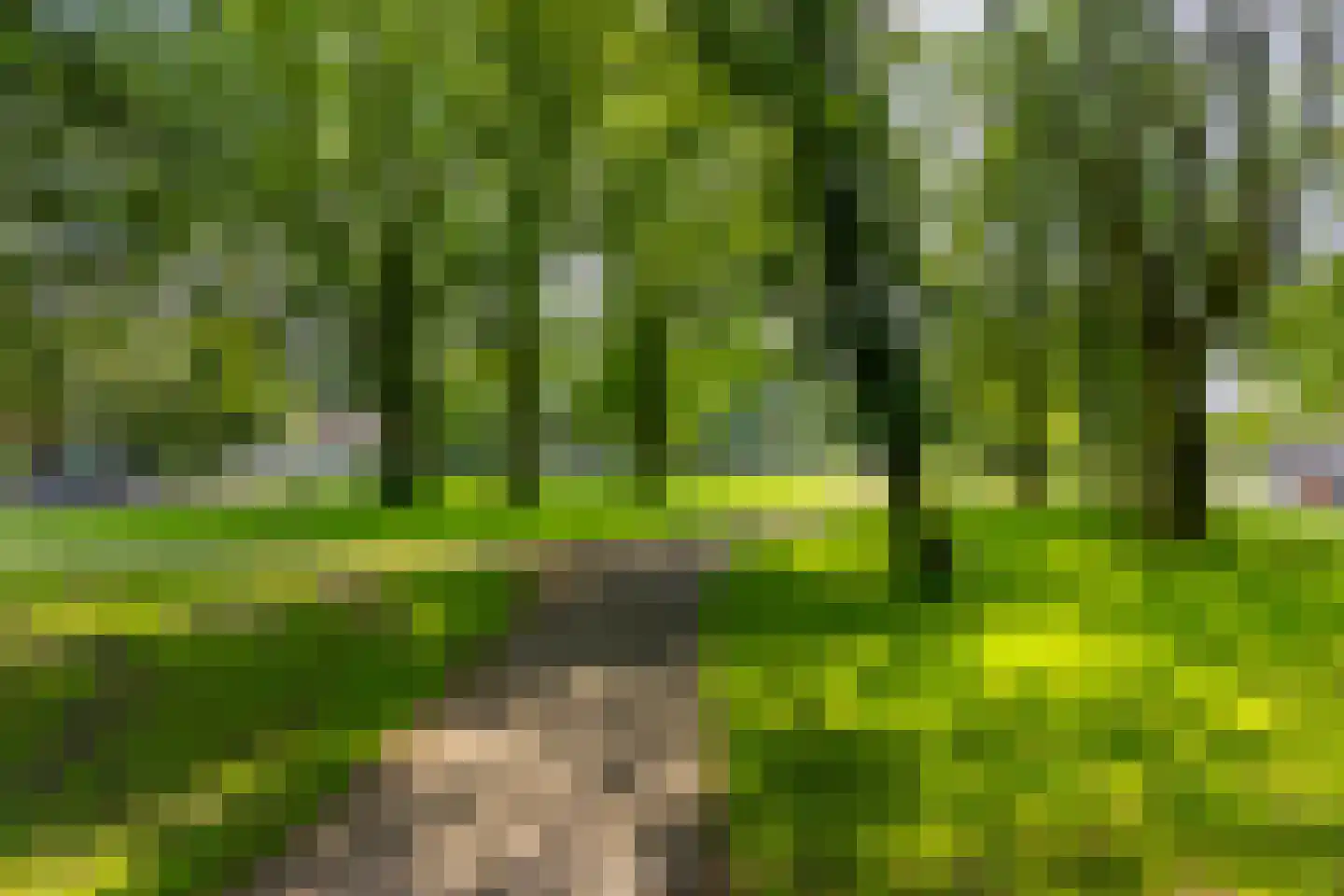 Oberondreef 10 Utrecht thumbnail 41