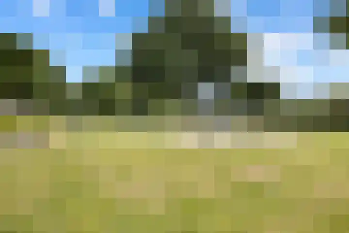 Oberonlaan 46 Helmond thumbnail 30