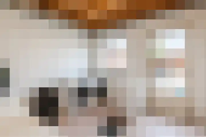 Oberto 38 Eindhoven thumbnail 14
