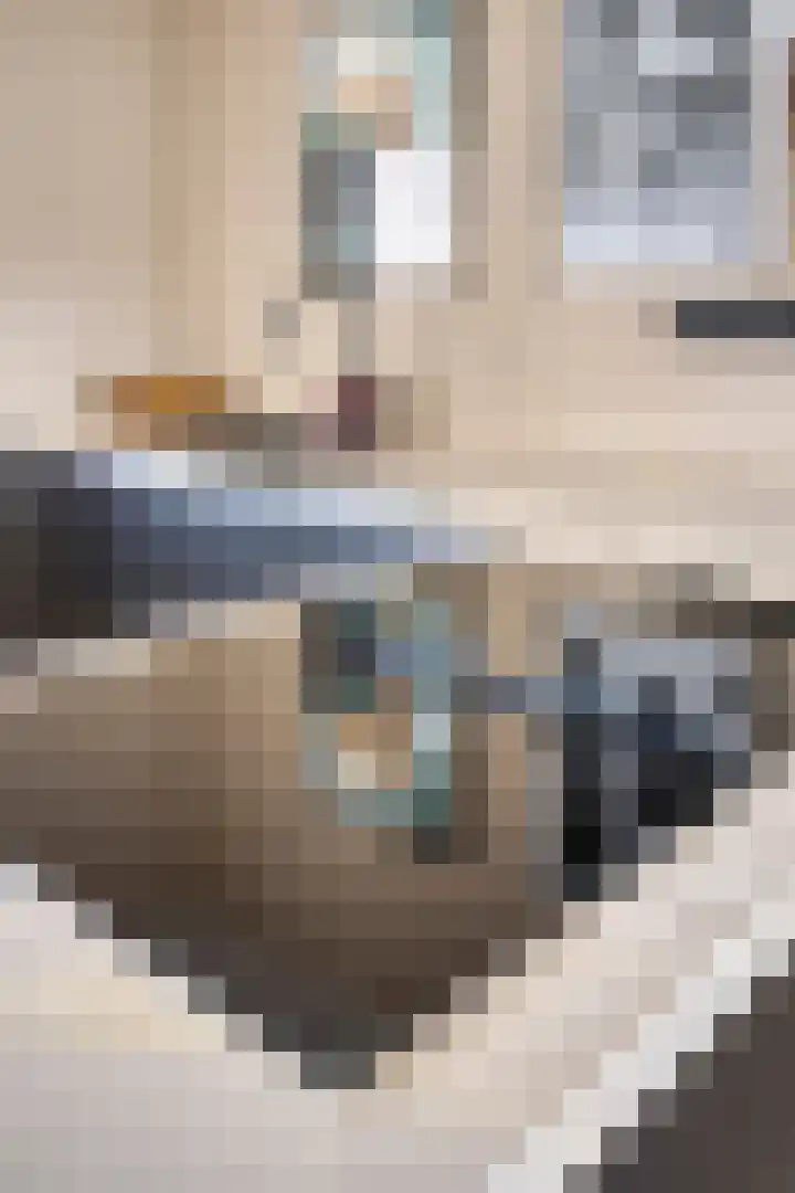 Obiplein 107 Amsterdam thumbnail 12