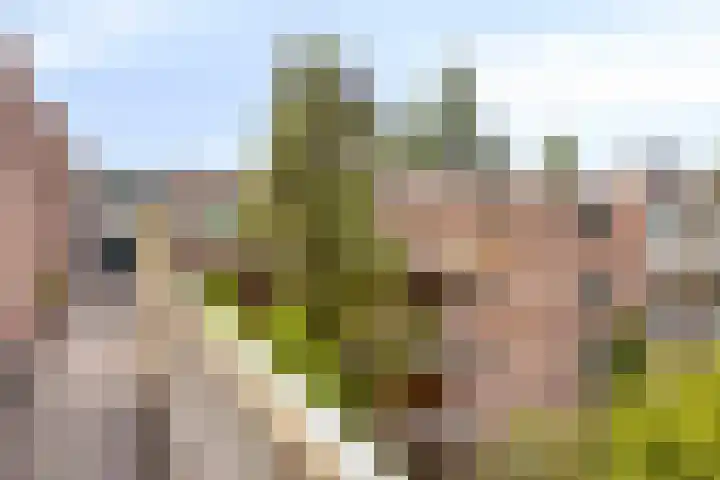 Obiplein 107 Amsterdam thumbnail 23
