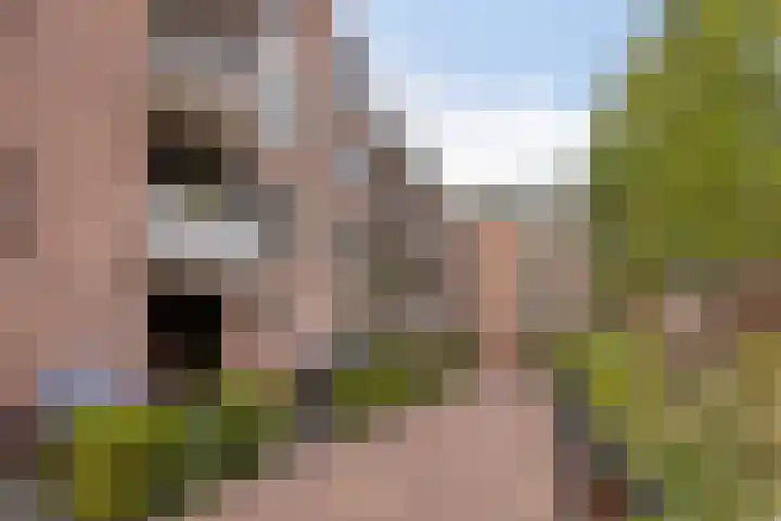 Obiplein 21 Amsterdam thumbnail 13