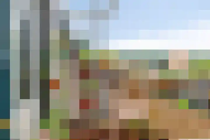Obiplein 21 Amsterdam thumbnail 31
