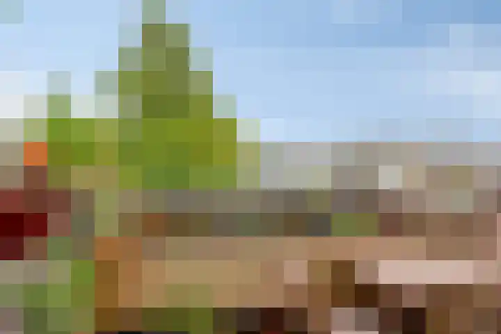 Obiplein 21 Amsterdam thumbnail 32