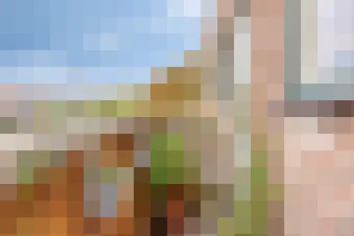 Obiplein 21 Amsterdam thumbnail 34