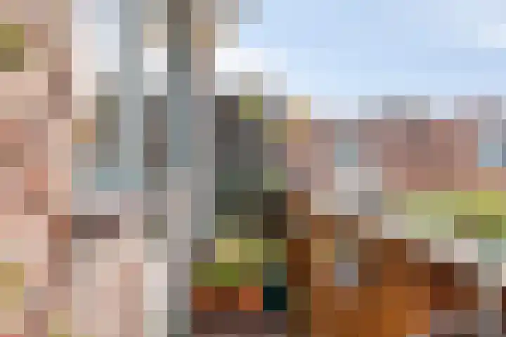Obiplein 21 Amsterdam thumbnail 35