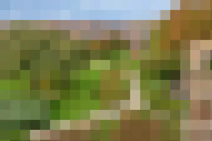 Obiplein 21 Amsterdam thumbnail 36