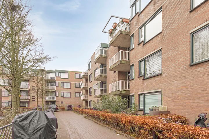 Obiplein 61 in Amsterdam photo