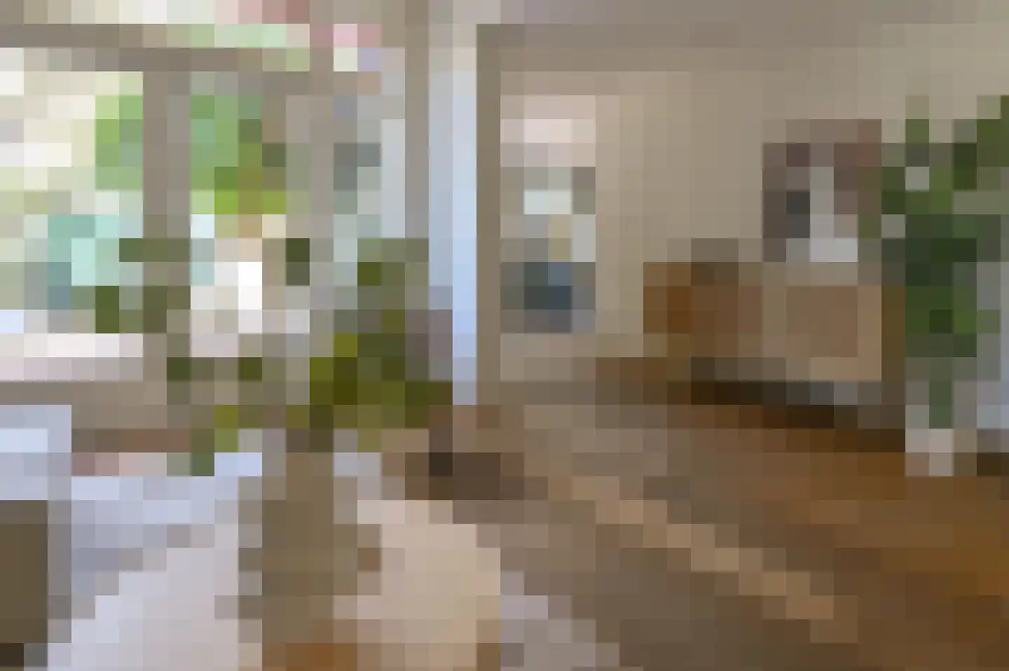 Obistraat 95 Haarlem thumbnail 14