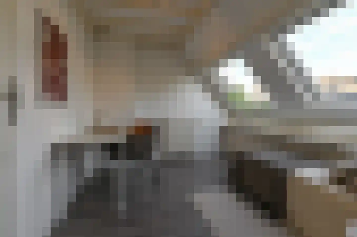 Obistraat 95 Haarlem thumbnail 37