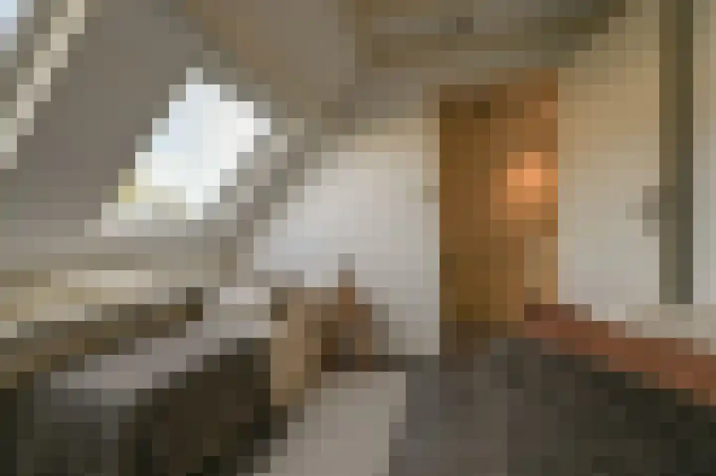 Obistraat 95 Haarlem thumbnail 38
