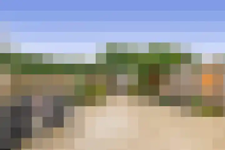 Obliehoren 1 Noordwijk thumbnail 30